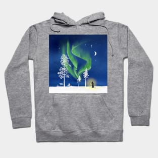 Aurora lighting - Northern lights in Scandinavia Hoodie